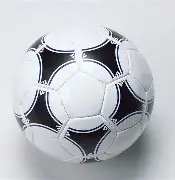 澳大利亚队,主教练对亚,洲杯冠军目,半岛,BanDao,半岛注册网址,半岛app,半岛官网,半岛网站,半岛下载